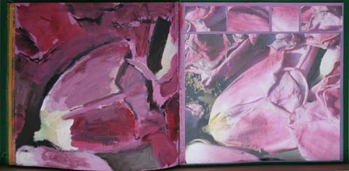 tulpenboek